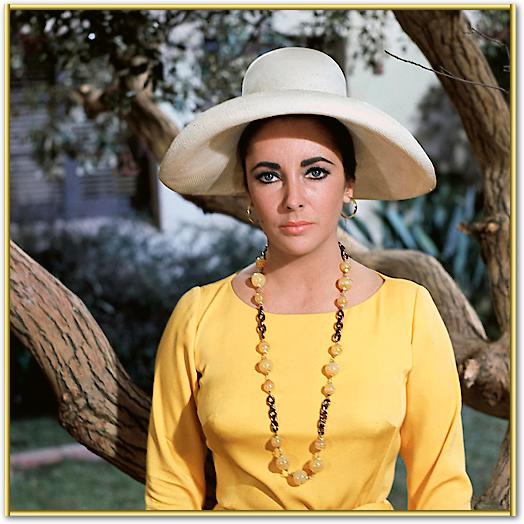 Elizabeth Taylor von Hollywood Photo Archive