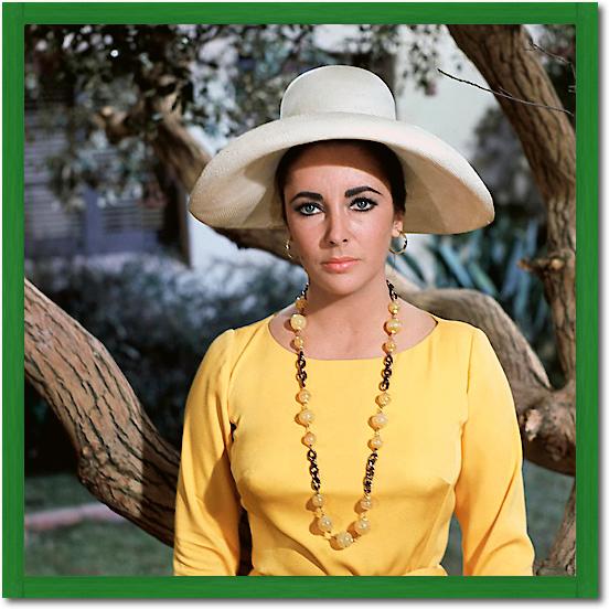 Elizabeth Taylor von Hollywood Photo Archive