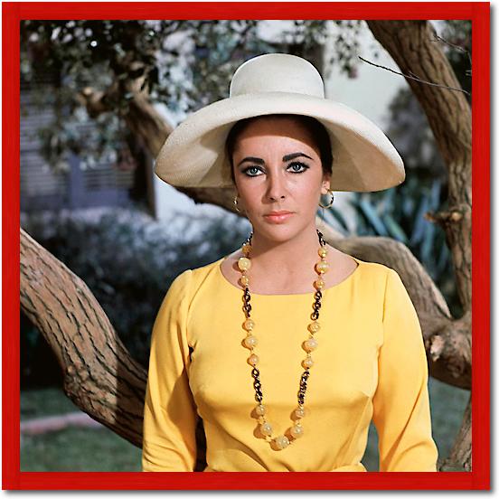 Elizabeth Taylor von Hollywood Photo Archive