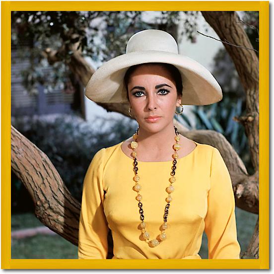 Elizabeth Taylor von Hollywood Photo Archive