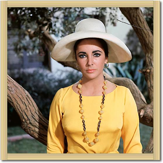 Elizabeth Taylor von Hollywood Photo Archive