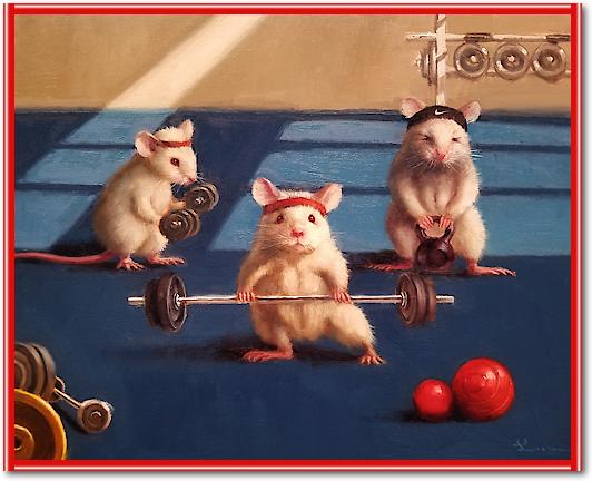 Gym Rats von Lucia Heffernan