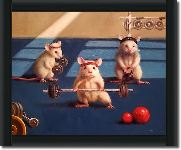 Gym Rats von Lucia Heffernan