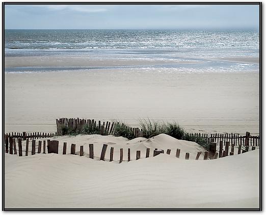 Feel the Ocean von Gill Copeland