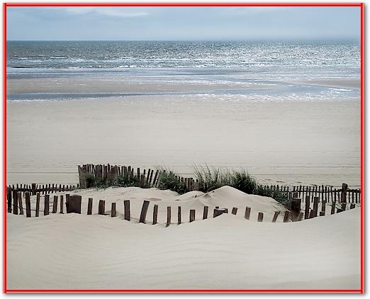 Feel the Ocean von Gill Copeland