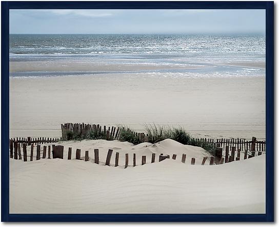 Feel the Ocean von Gill Copeland