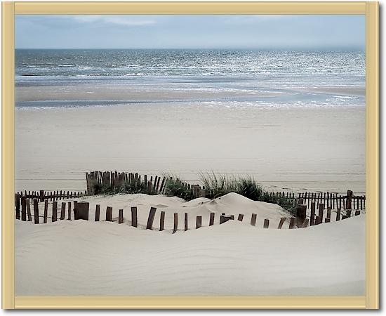 Feel the Ocean von Gill Copeland