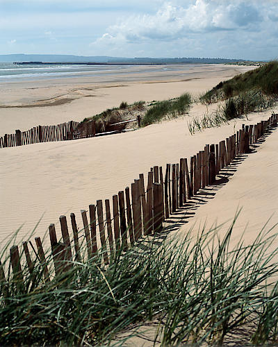 Drifting Sands von Gill Copeland