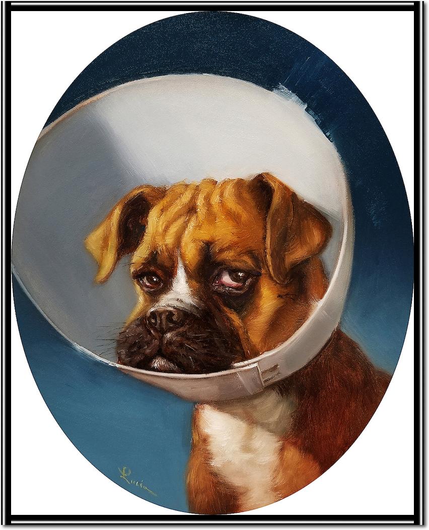 Cone of Shame von Lucia Heffernan