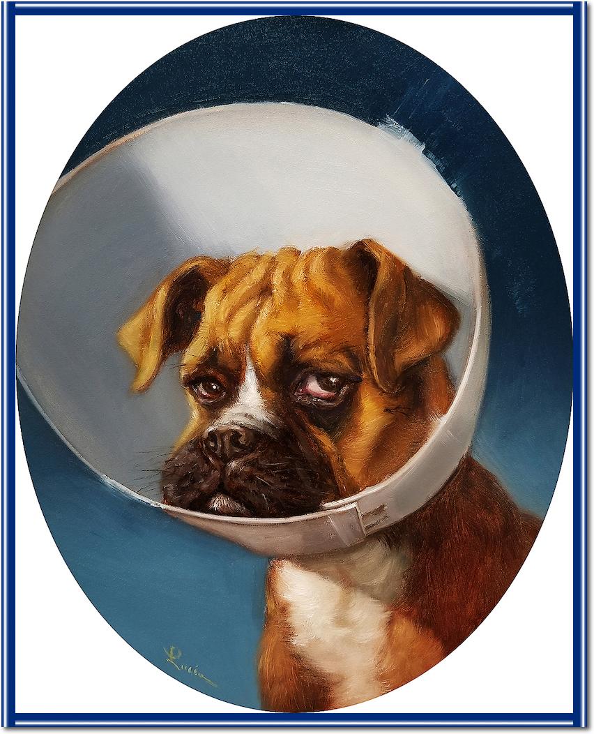 Cone of Shame von Lucia Heffernan