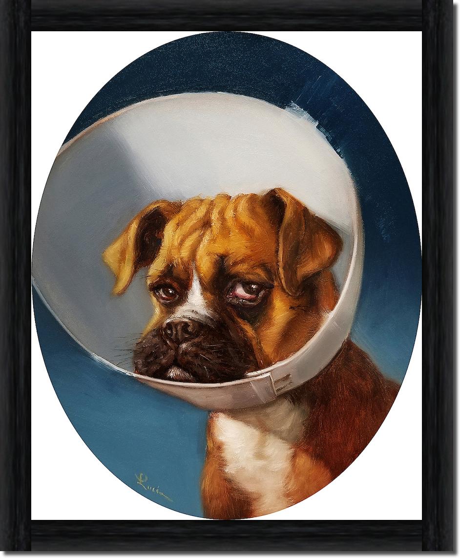 Cone of Shame von Lucia Heffernan