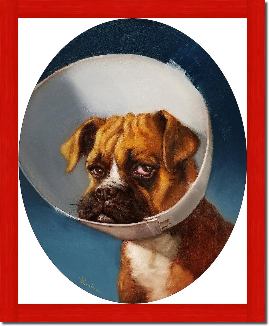 Cone of Shame von Lucia Heffernan