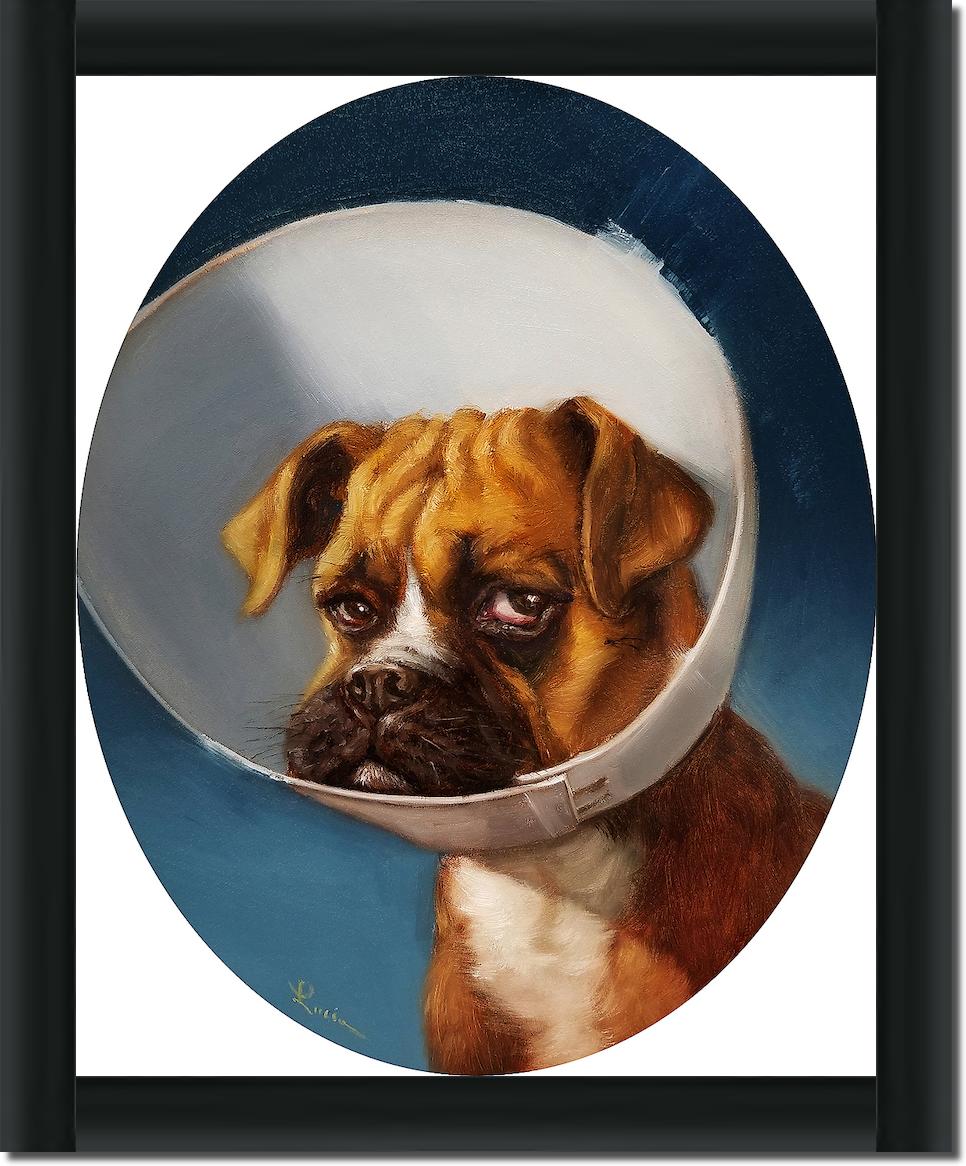 Cone of Shame von Lucia Heffernan