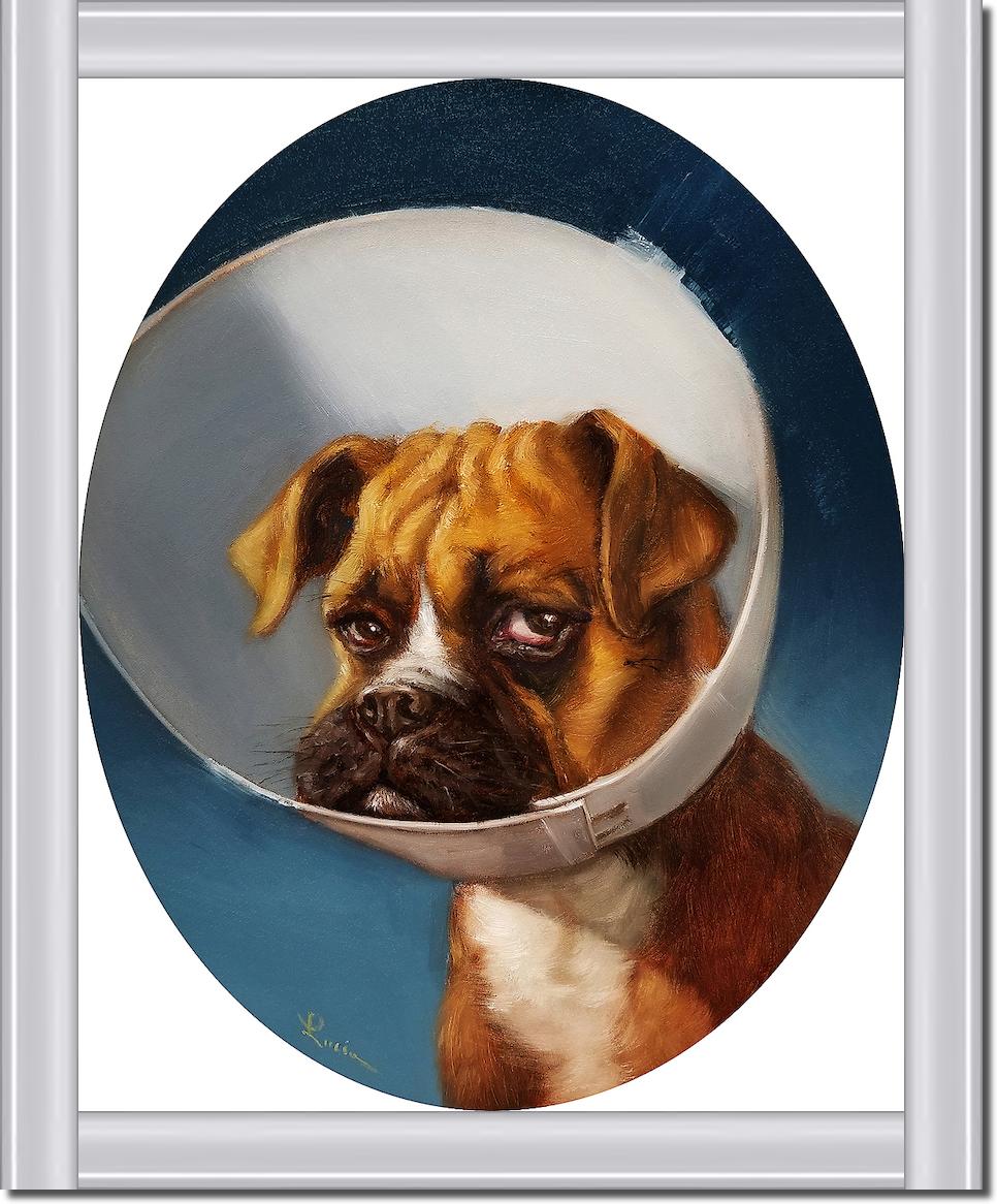 Cone of Shame von Lucia Heffernan