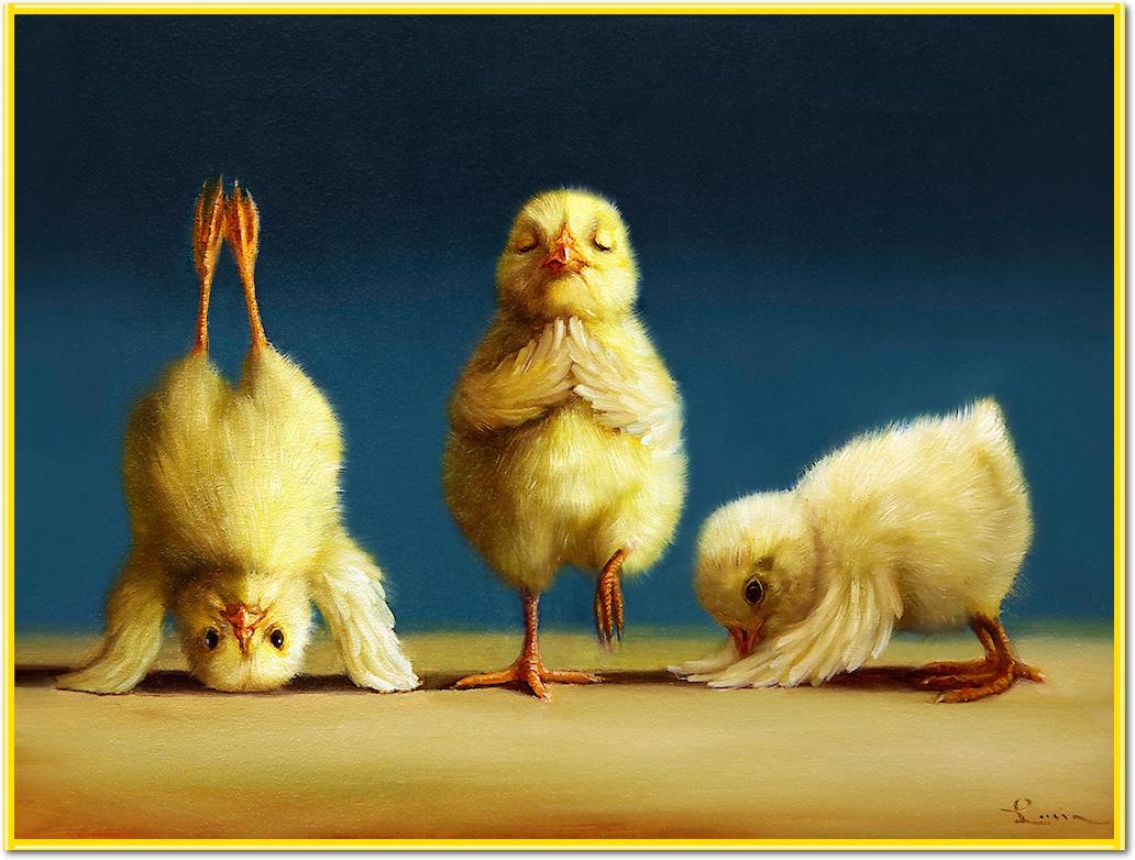 Yoga Chicks von Lucia Heffernan