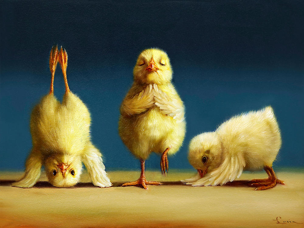 Yoga Chicks von Lucia Heffernan