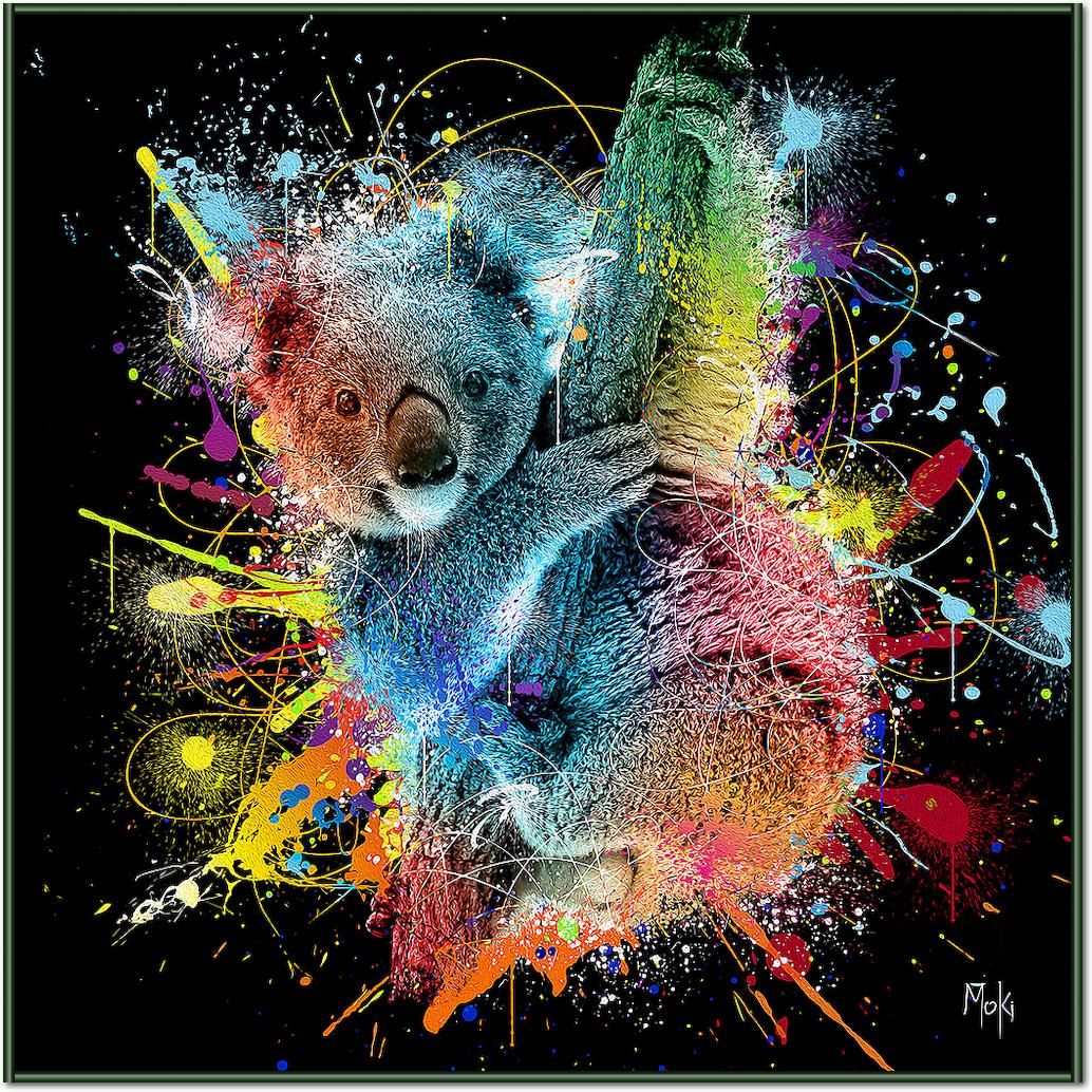 Koala Color von Moki