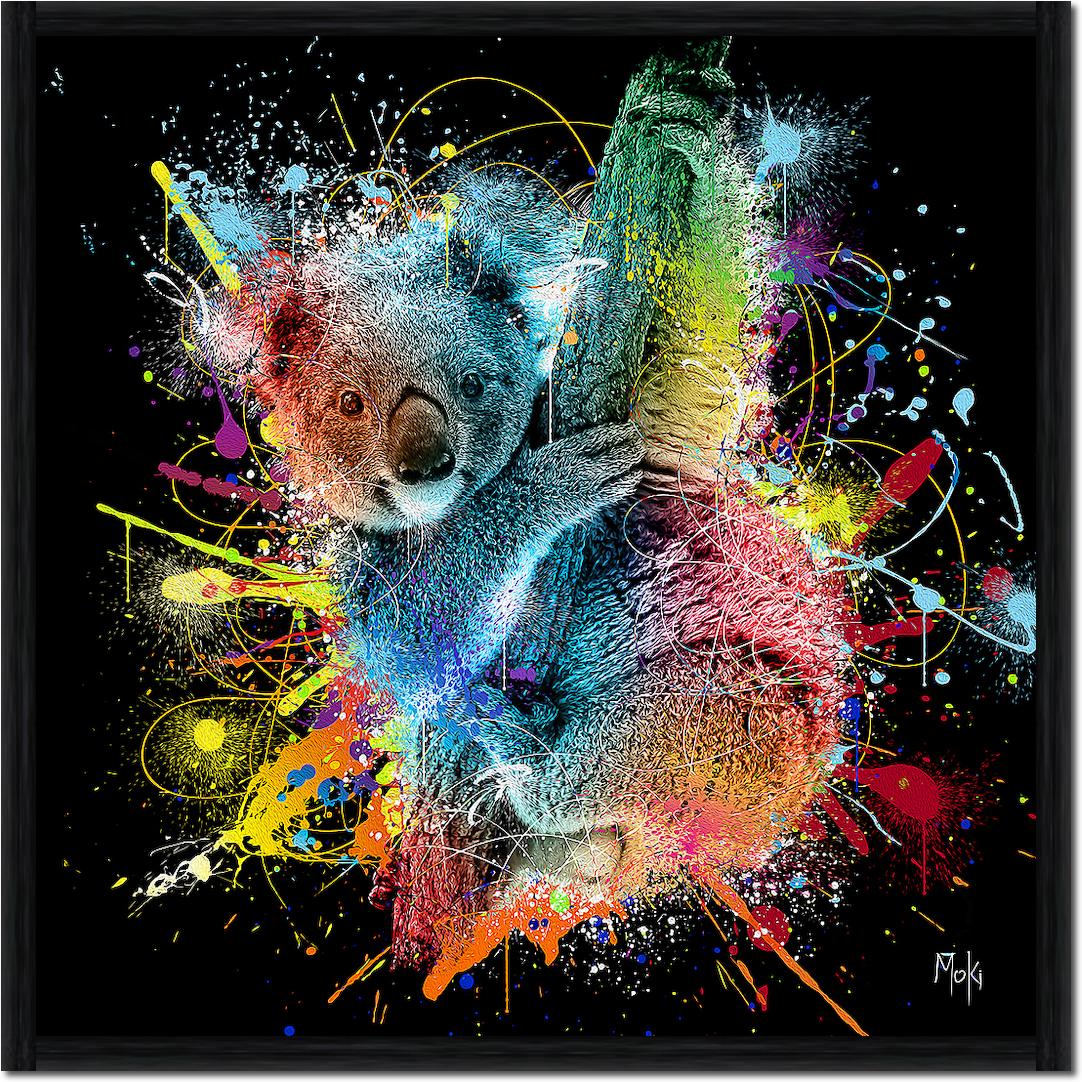 Koala Color von Moki