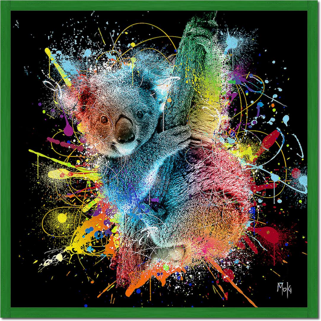 Koala Color von Moki