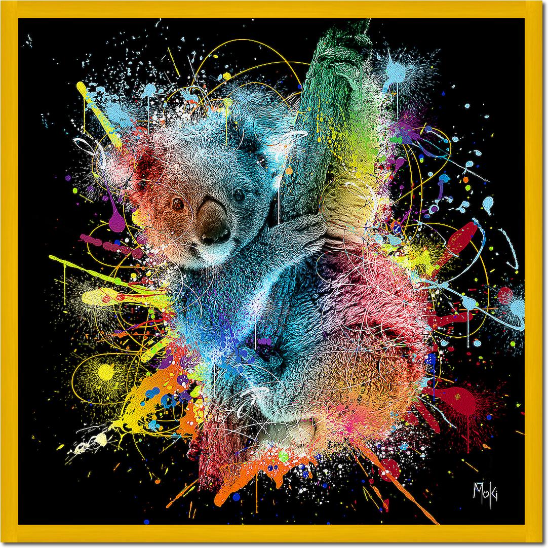 Koala Color von Moki