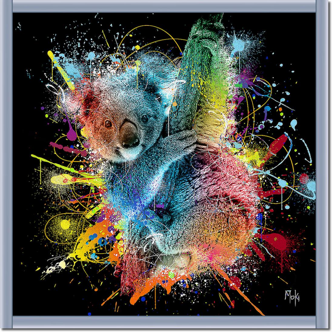 Koala Color von Moki