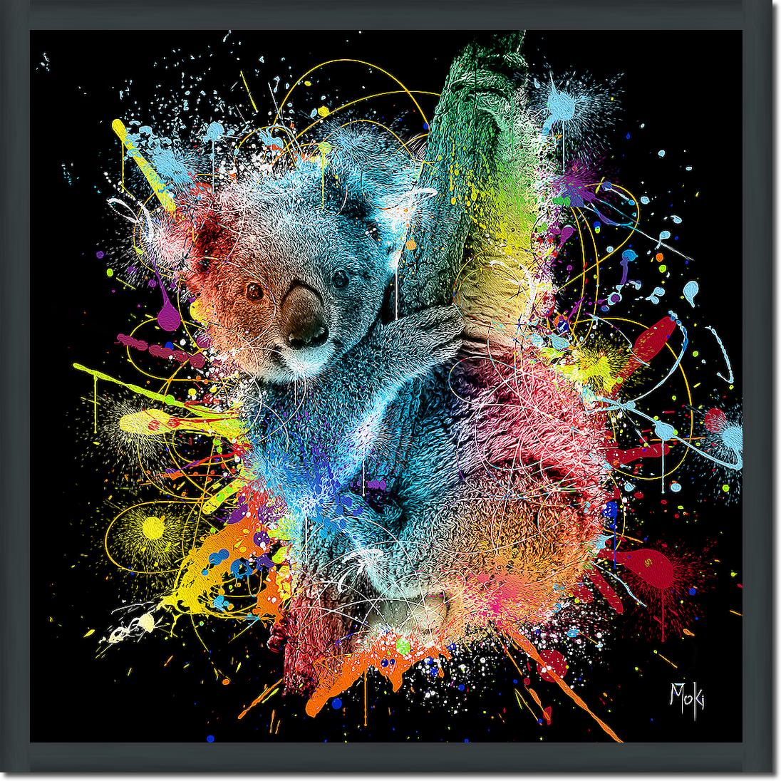 Koala Color von Moki