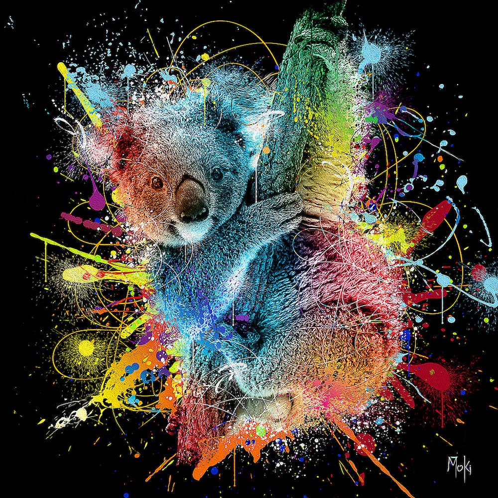 Koala Color von Moki