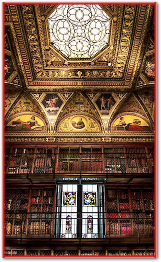 Library Room II von Ronin