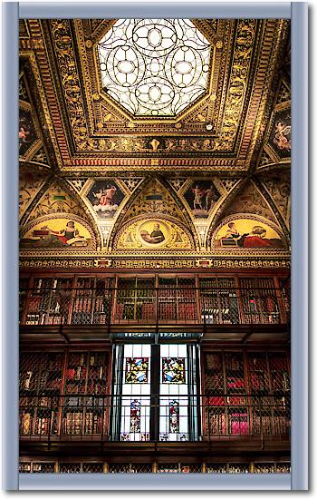 Library Room II von Ronin