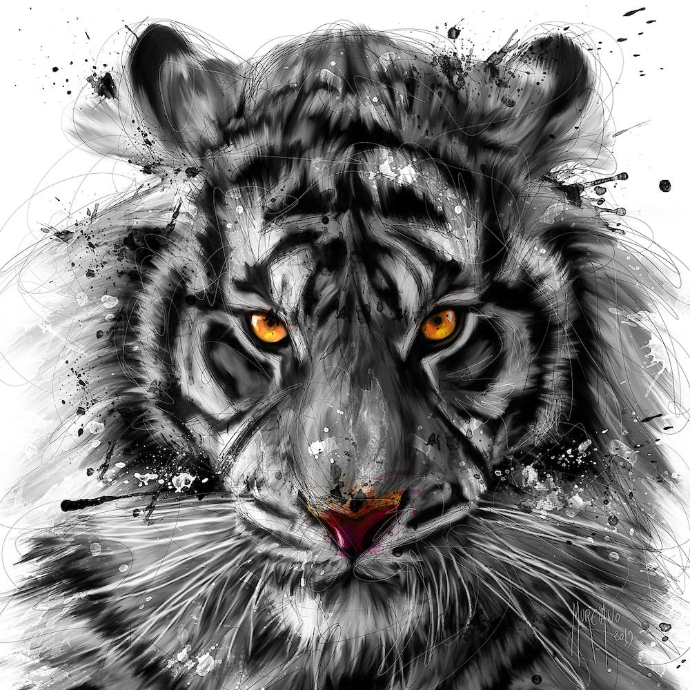 White Tiger von Patrice Murciano