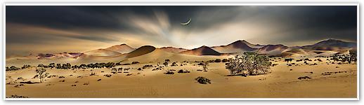 Namib Sandsea II von Peter Hillert