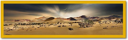 Namib Sandsea II von Peter Hillert