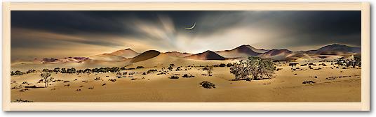 Namib Sandsea II von Peter Hillert