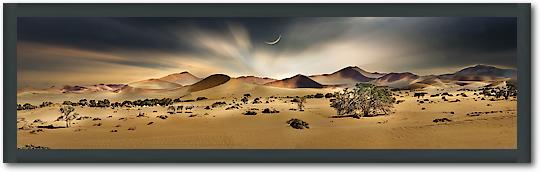 Namib Sandsea II von Peter Hillert