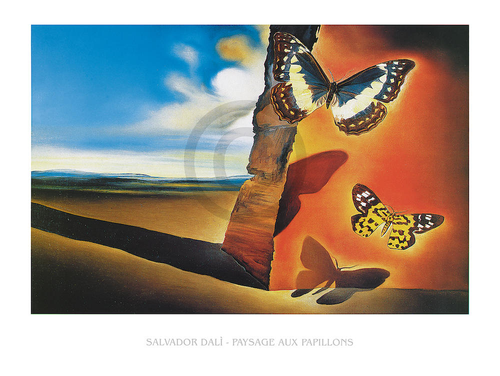 Paysage aux Papillons, SD-506 von Salvador         Dali