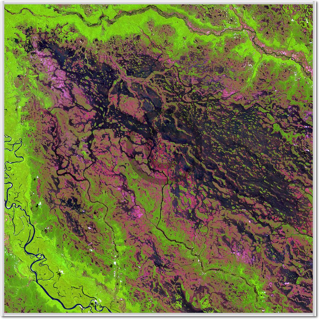 Demini River von Landsat-7