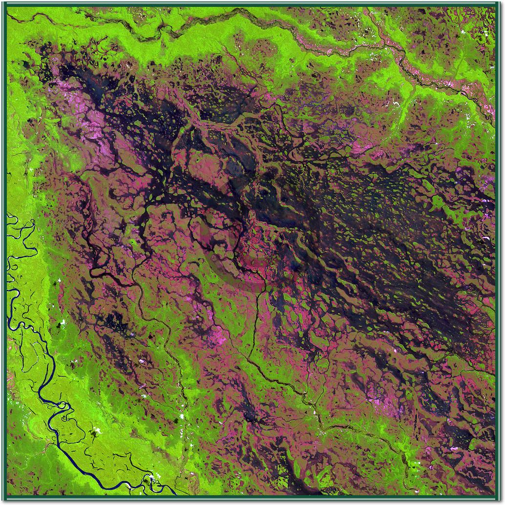 Demini River von Landsat-7