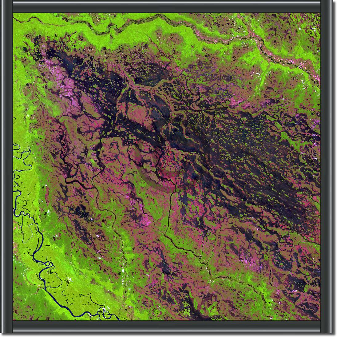 Demini River von Landsat-7