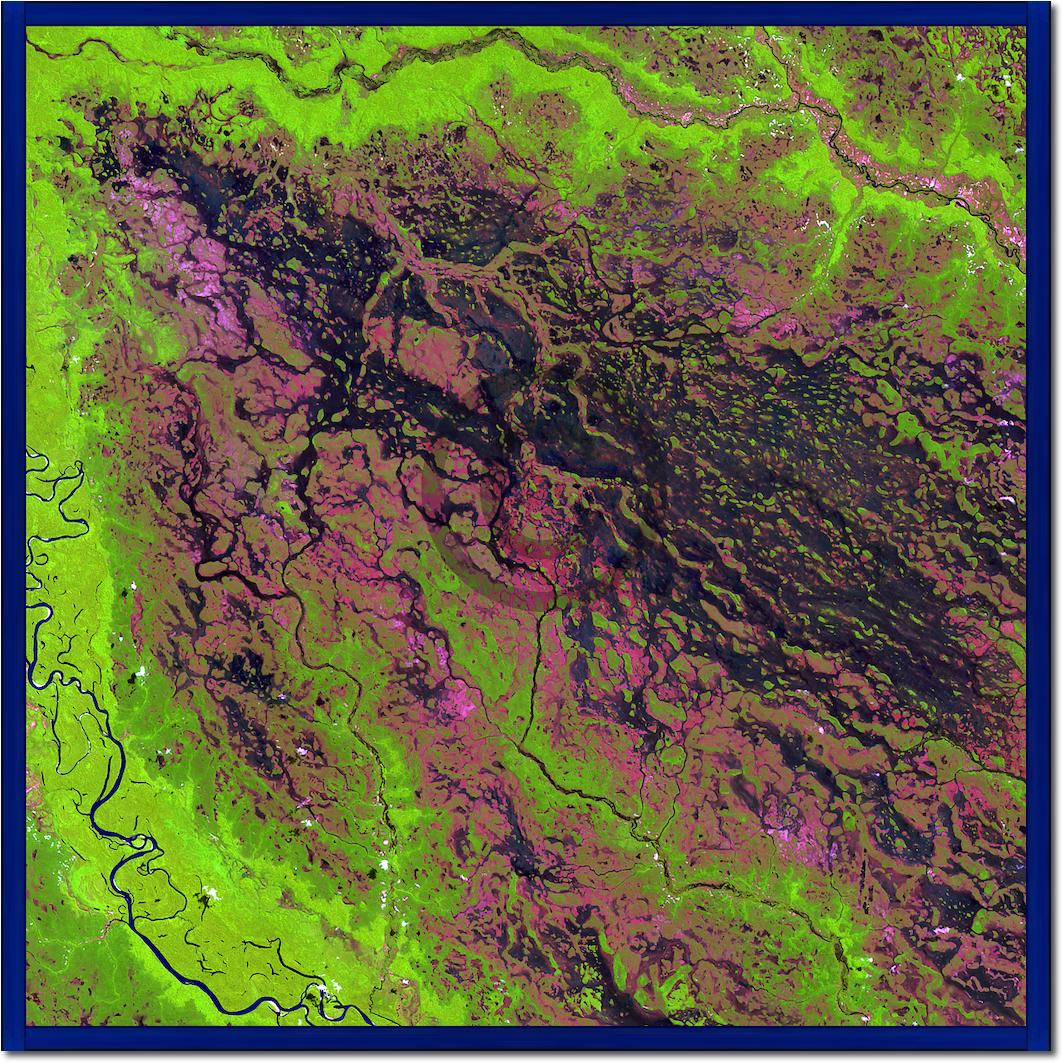 Demini River von Landsat-7