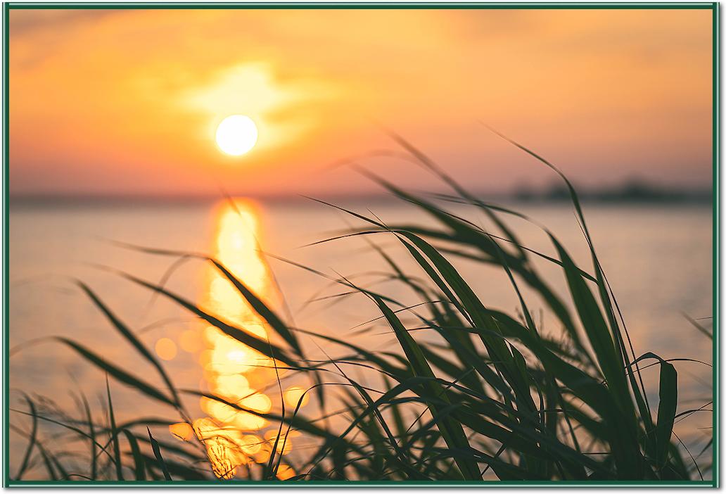 Steinhuder Meer im Sonnenuntergang von Holger Karl