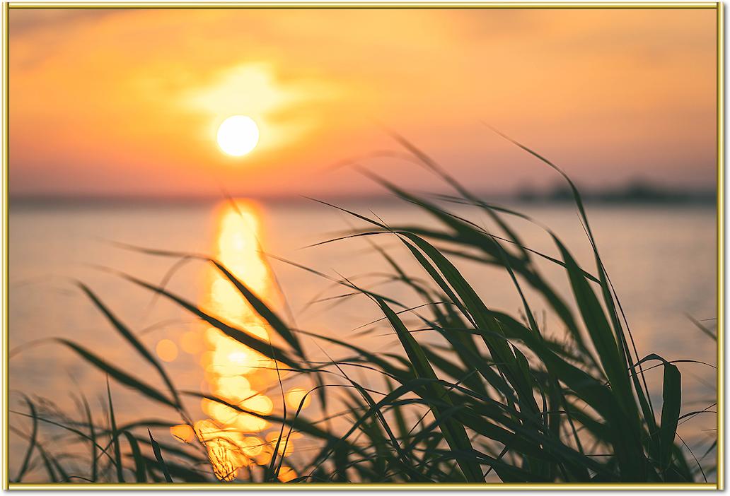 Steinhuder Meer im Sonnenuntergang von Holger Karl