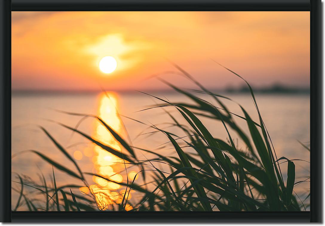 Steinhuder Meer im Sonnenuntergang von Holger Karl