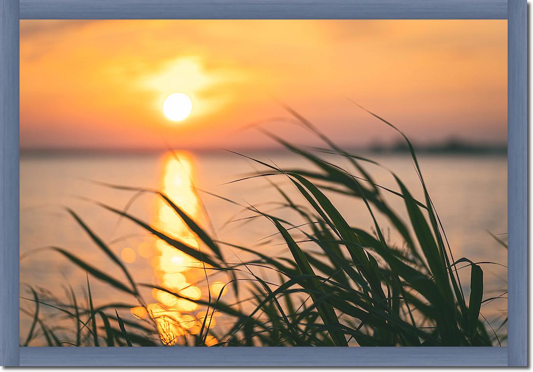 Steinhuder Meer im Sonnenuntergang von Holger Karl