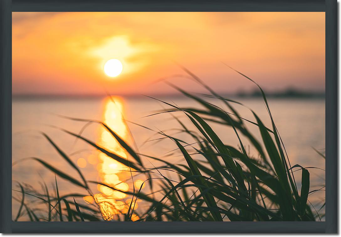 Steinhuder Meer im Sonnenuntergang von Holger Karl