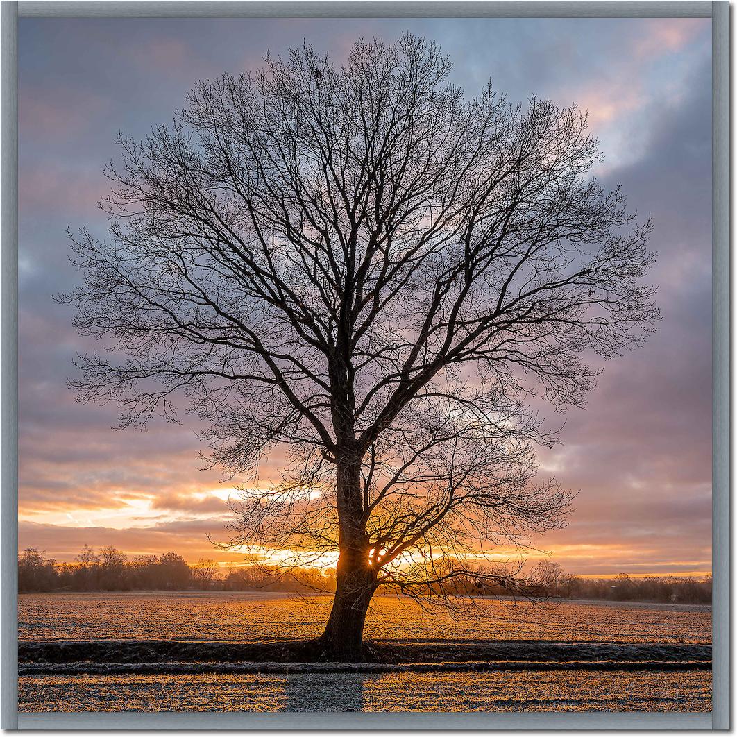 Winterbaum von Holger Karl