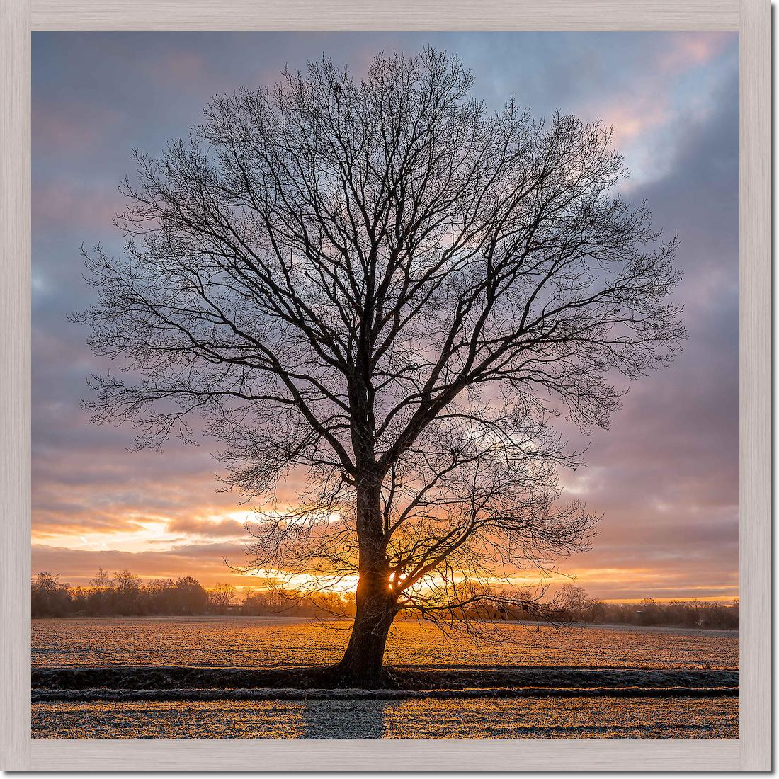 Winterbaum von Holger Karl