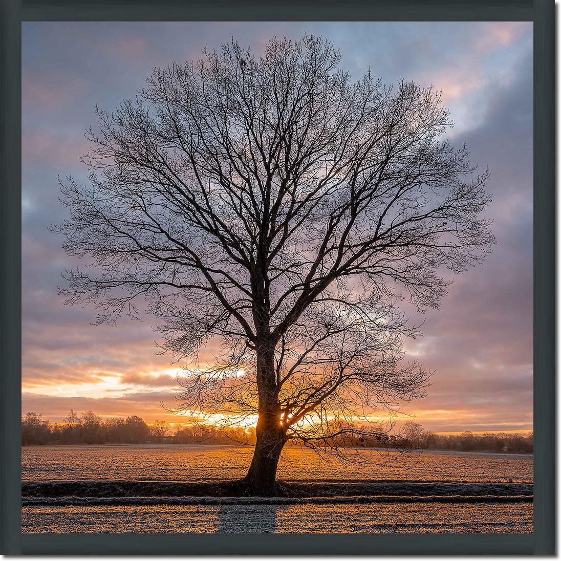 Winterbaum von Holger Karl