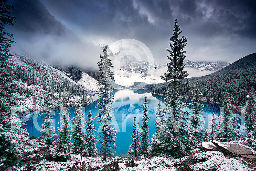 Morning blues von Trevor Cole