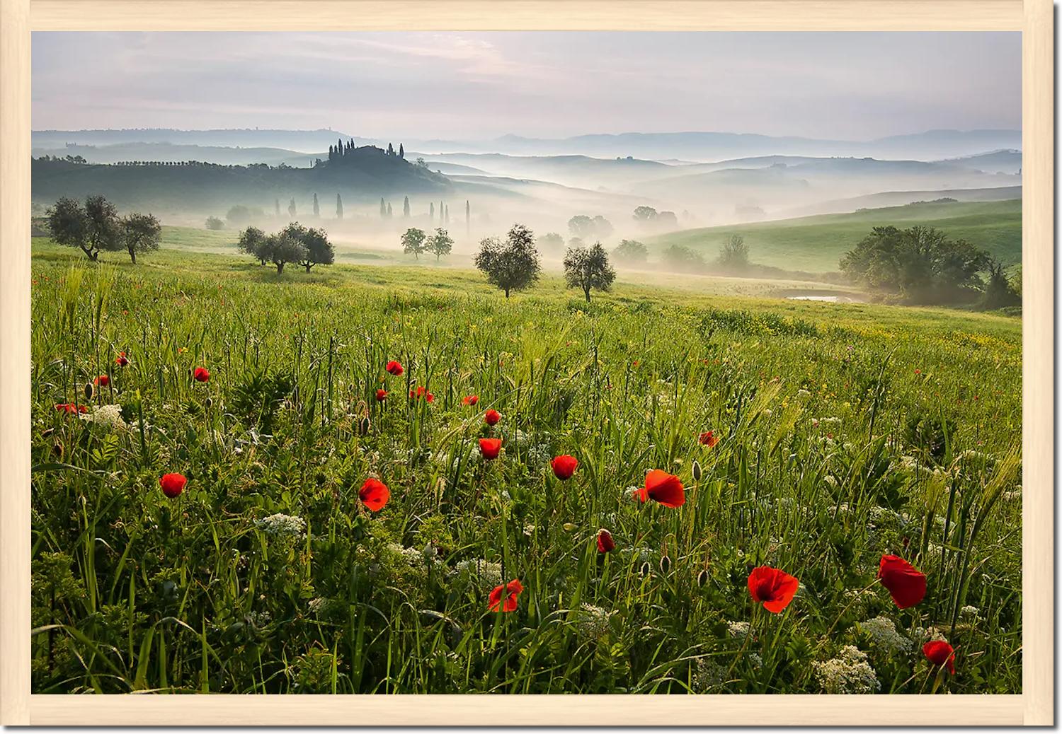 Tuscan spring von Daniel ?e?icha