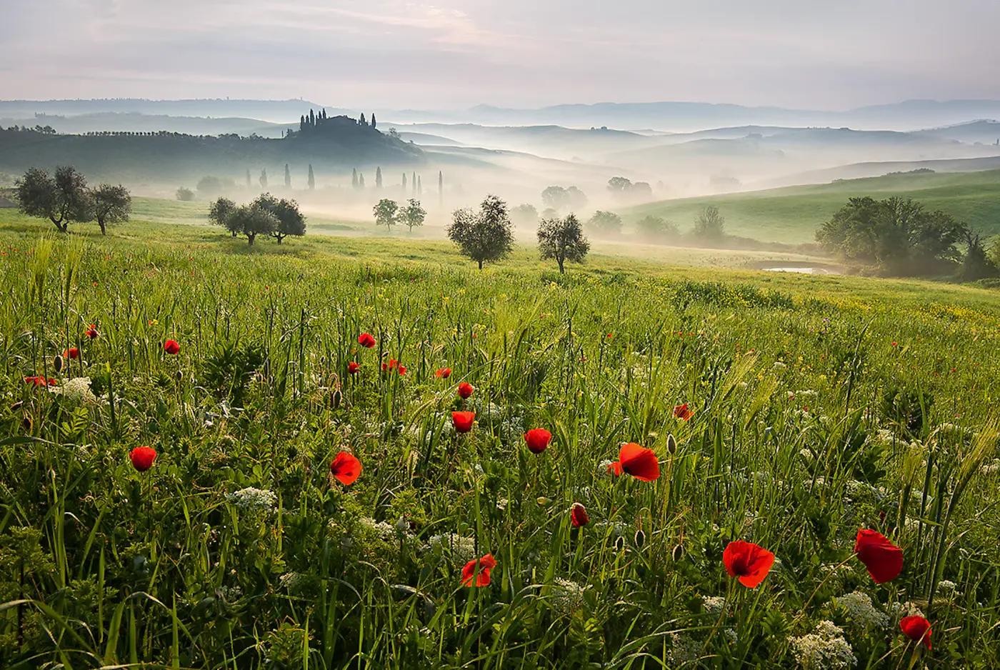 Tuscan spring von Daniel ?e?icha